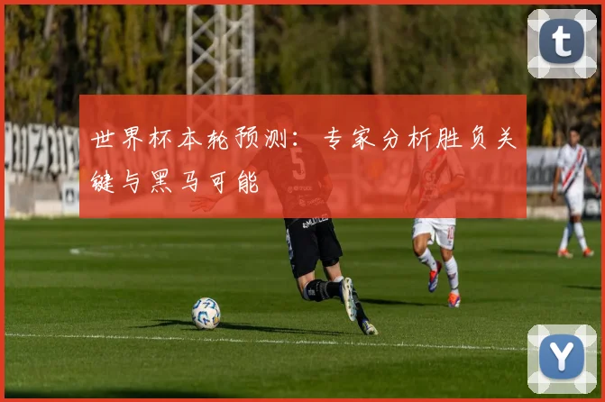 世界杯本轮预测:专家分析胜负关键与黑马可能