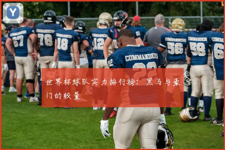 世界杯球队实力排行榜:黑马与豪门的较量