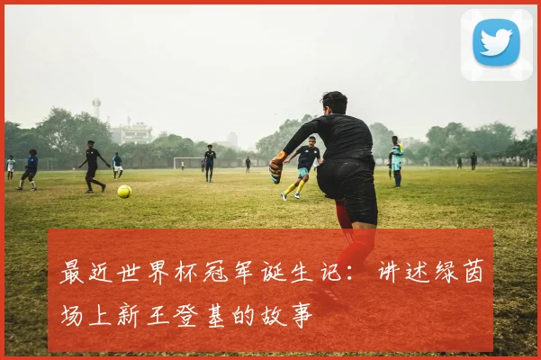 最近世界杯冠军诞生记：讲述绿茵场上新王登基的故事